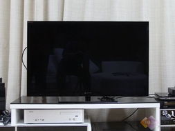 不只是甜蜜 從一臺液晶電視，細數婚姻生活的多重維度